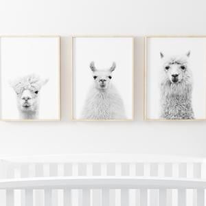 three black and white llamas are hanging on the wall above a crib