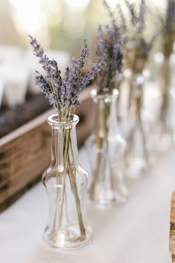 several vases filled with lavender flowers sitting on a table