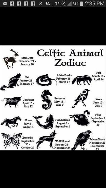 an animal zodiac chart with all the animals in it's respective positions and numbers