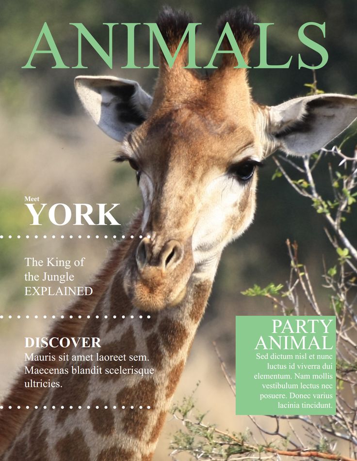 a magazine cover with an image of a giraffe