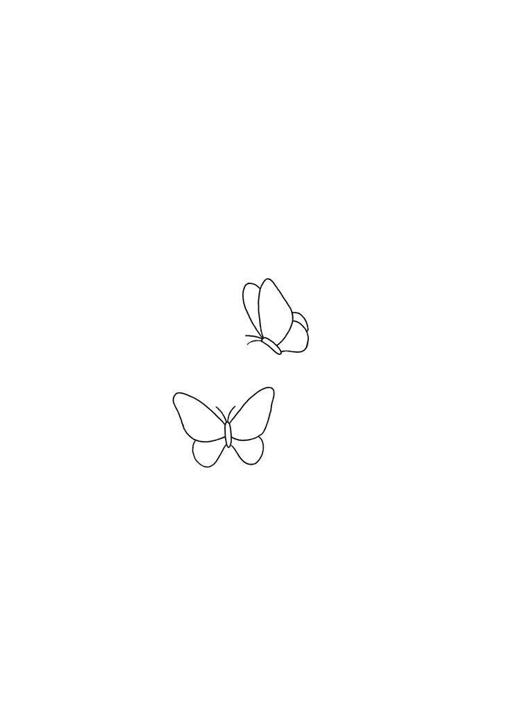 two butterflies flying in the sky on a white background, one is drawn with black ink