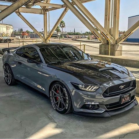 a silver mustang car parked under a bridge