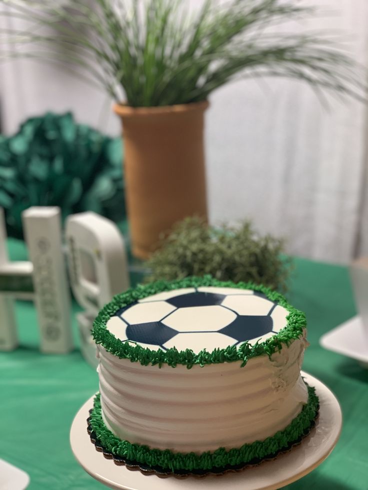 there is a cake that looks like a soccer ball on top of the table with green grass