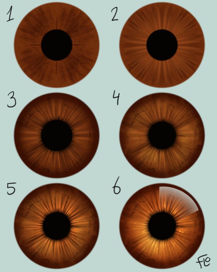 an image of different types of irises in the eye, with numbers on each side