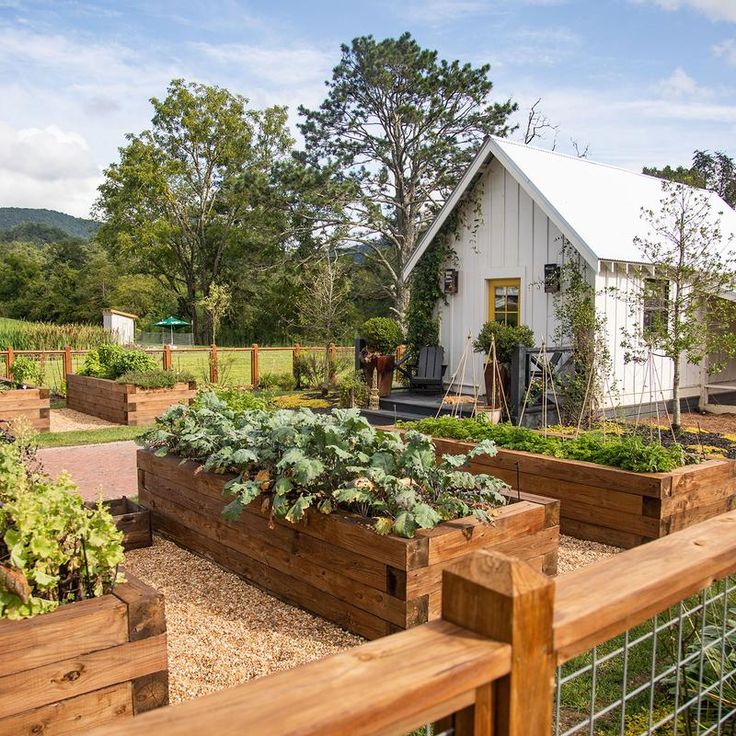 an outdoor garden area with raised wooden planters and various vegetables in the foreground