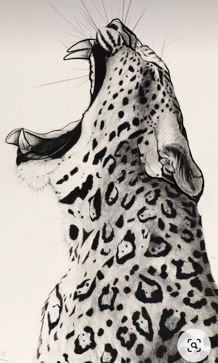 a drawing of a cheetah with its mouth open