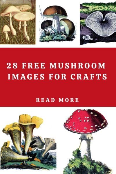 the book cover for 28 free mushroom images for crafts, with pictures of mushrooms on it