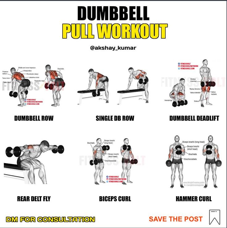 the dumbbell pull workout poster