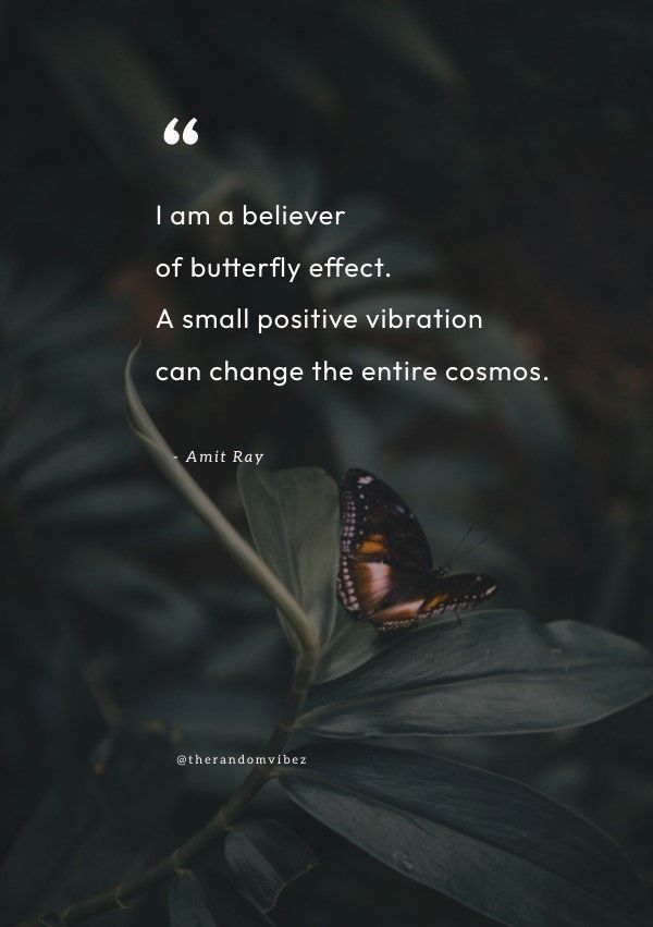 a butterfly sitting on top of a leaf next to a quote that reads, i am a