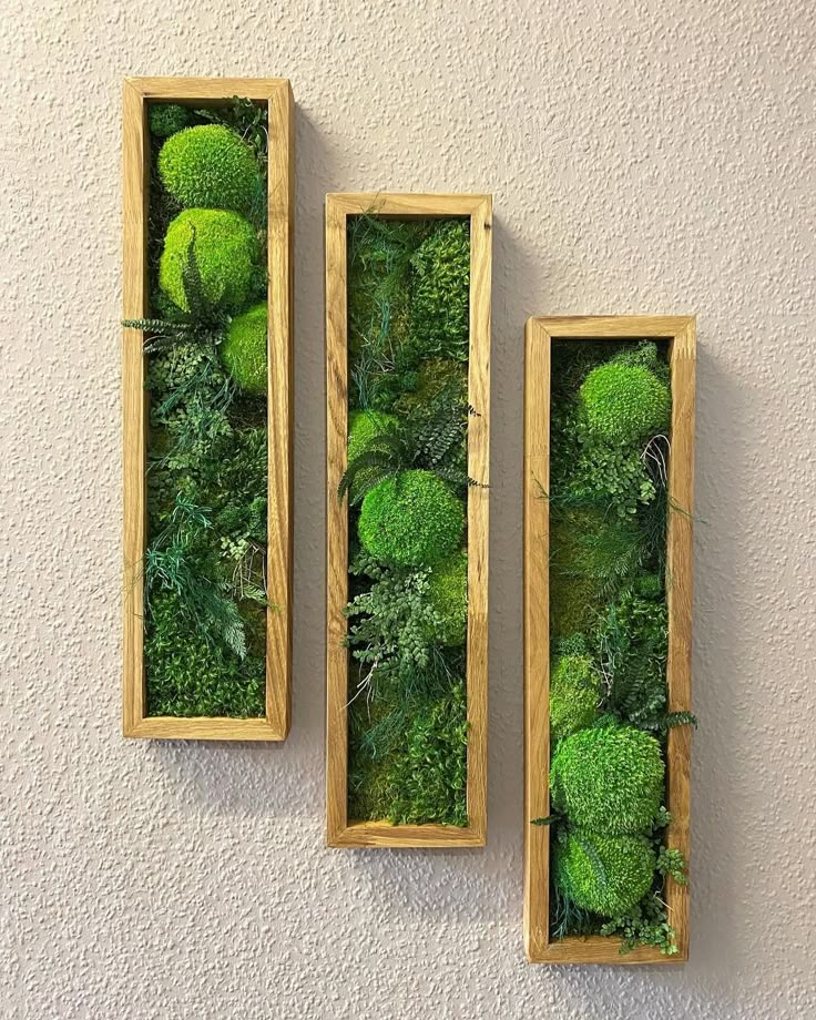 three wooden frames filled with green moss covered wall art hanging on a wall next to each other