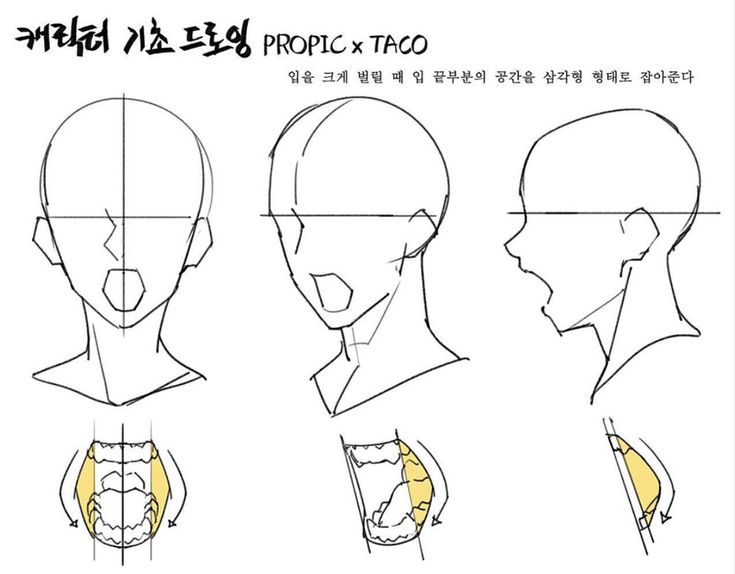 When the mouth opens up (really really big), draw the ends of the mouth so that it forms a triangle. Taco 1704, 얼굴 드로잉, Mouth Drawing, Body Drawing Tutorial, 얼굴 그리기, Manga Drawing Tutorials, Anatomy Sketches, Body Reference Drawing, 캐릭터 드로잉