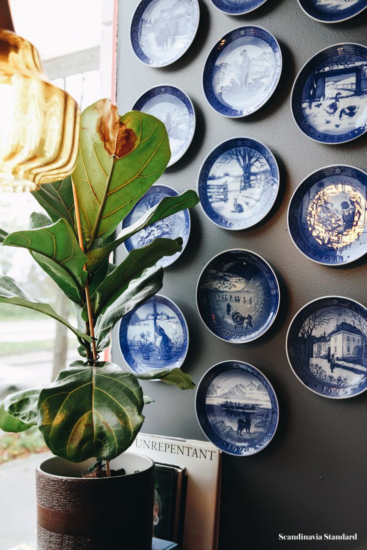 blue and white plates are on the wall next to a potted plant