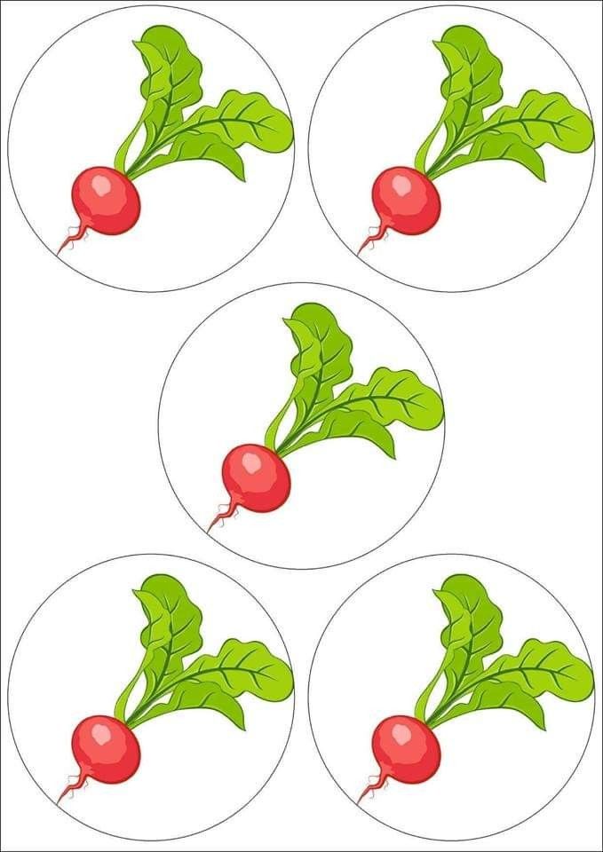 four red radishes with green leaves on them, in the middle of three circles