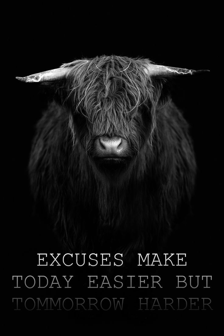 THIS IS A  MOTIVATIONAL QUOTE - "EXCUSES MAKE TODAY EASIER BUT TOMMORROW HARDER" Full Of Excuses Quotes, No More Excuses Quotes, No Excuses Wallpaper, Excuse Quotes, No Excuses Quotes, Excuses Quotes, Reason Quotes, No More Excuses, Hard Quotes