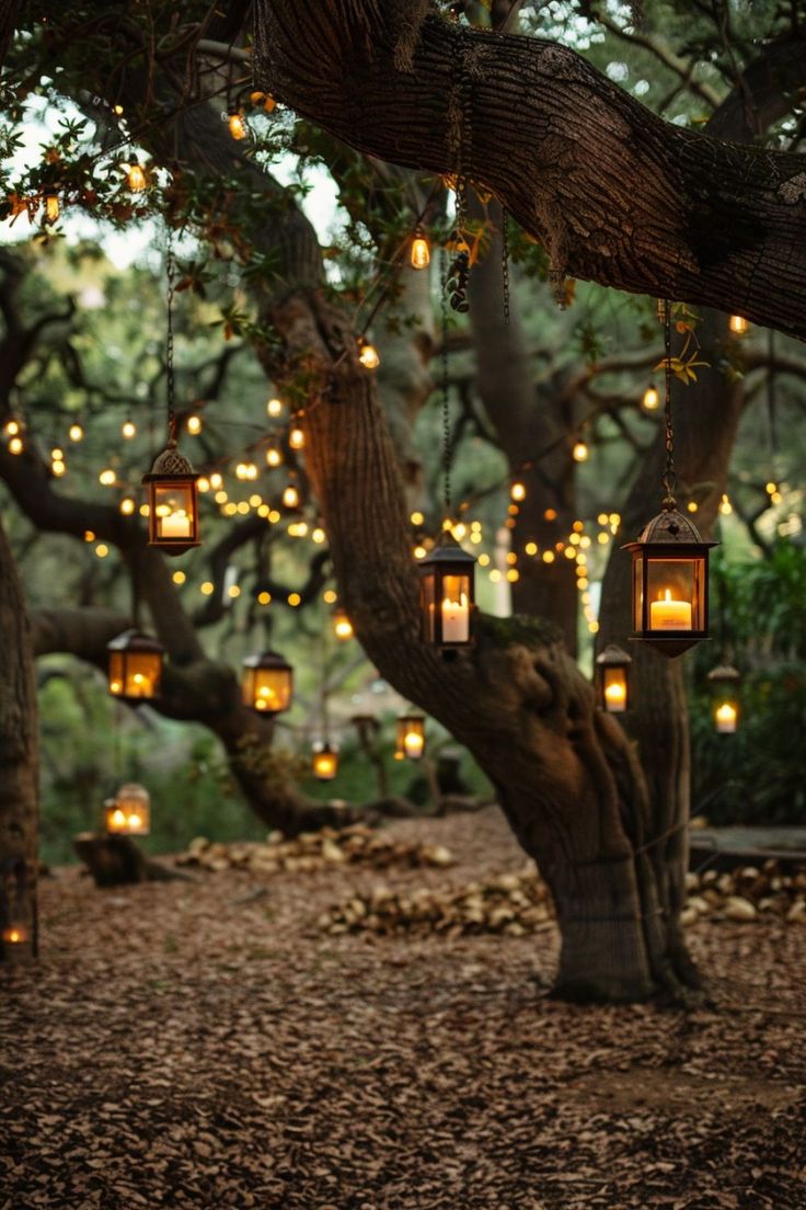 lanterns hanging from trees in the woods with leaves on the ground and lights around them