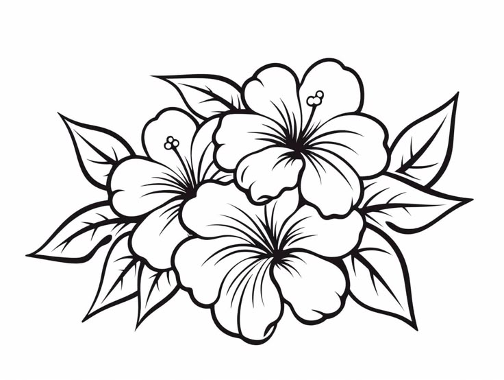 a black and white drawing of flowers with leaves on the bottom half of each flower