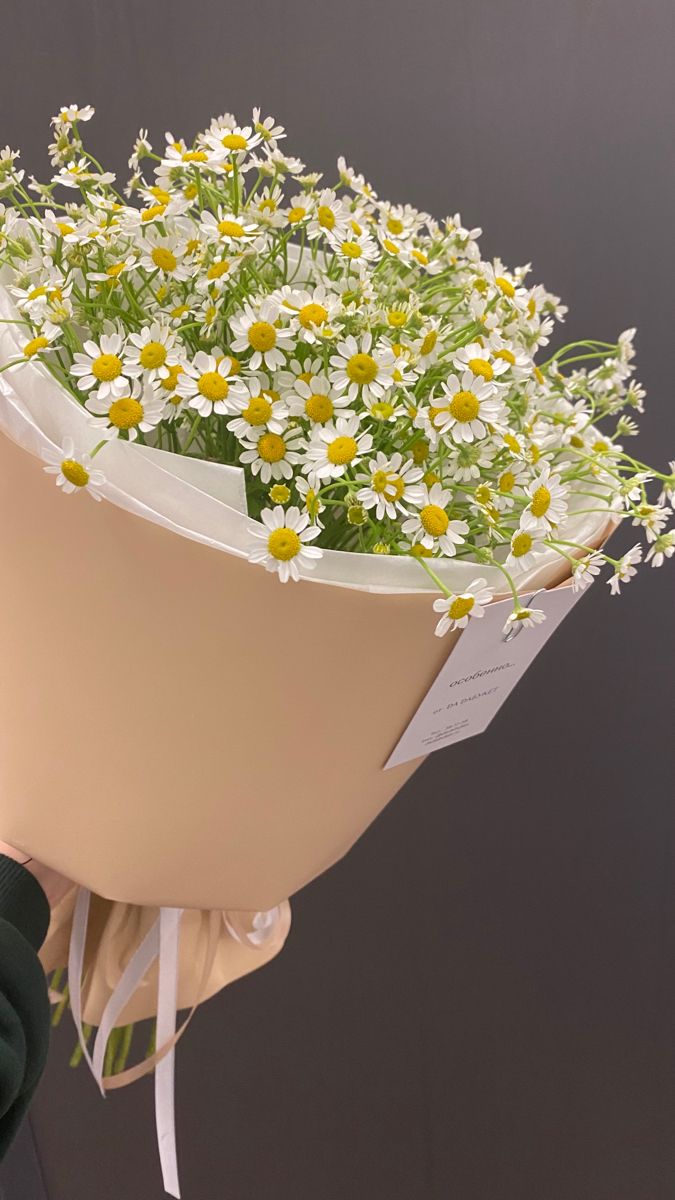 a bouquet of daisies is wrapped in white paper