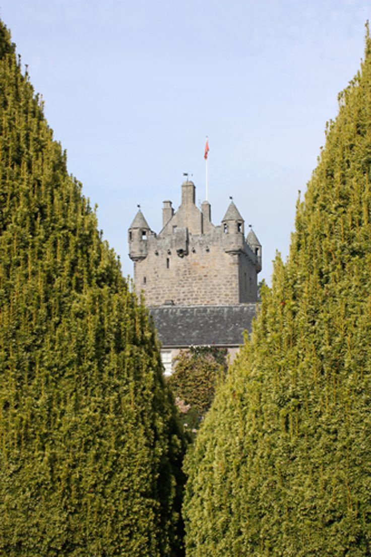 an image of a castle through the trees