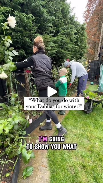 two people are gardening in the yard with flowers and plants on them, one is pushing a wheelbarrow