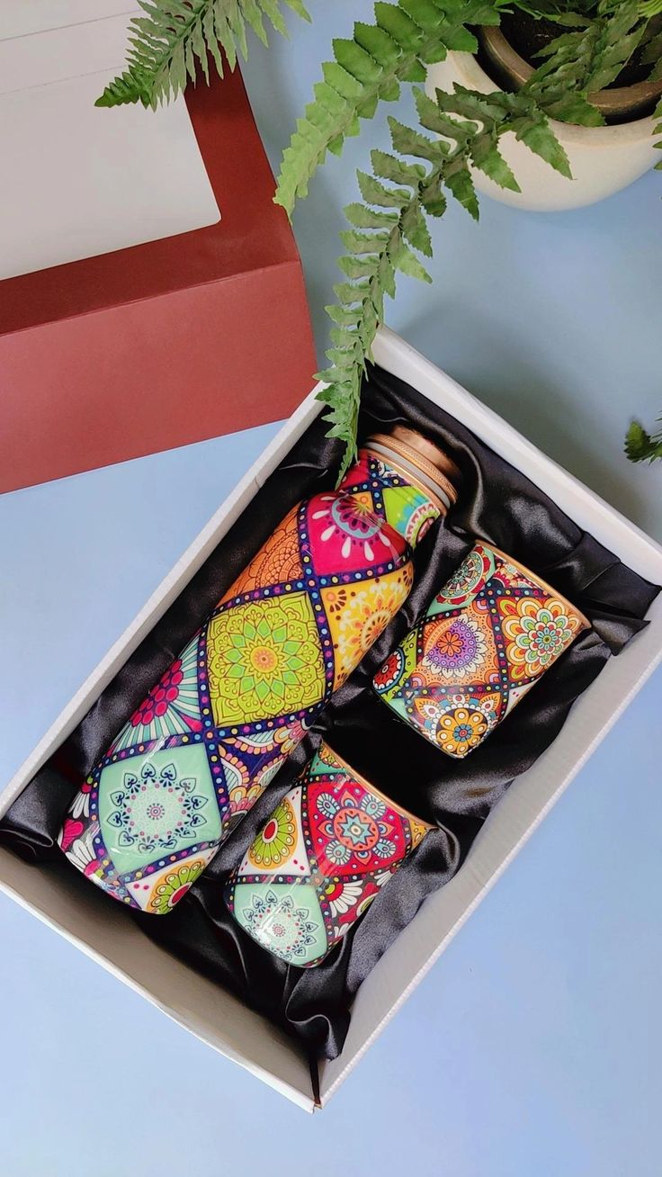 an open box with four colorful ties in it next to a potted plant on a table