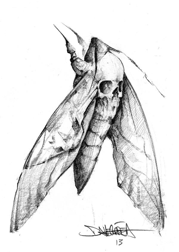 a black and white drawing of a butterfly with its wings spread out, it's head