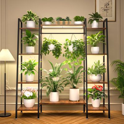 several potted plants are arranged on a shelf in the corner of an empty room