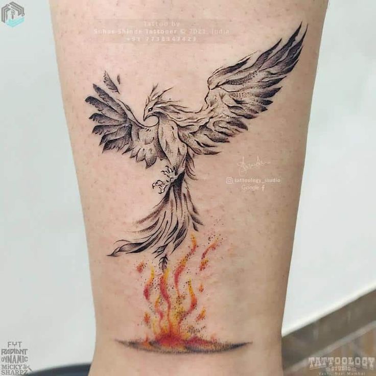 a black and white bird with flames on it's leg