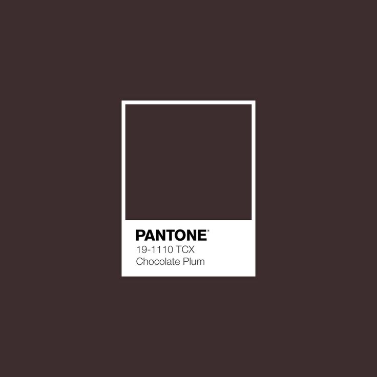 pantone's chocolate plum color is shown in the square, which has been added to