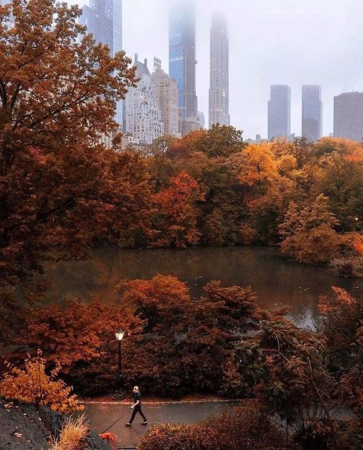 a person walking in the rain near a lake and trees with yellow leaves on it