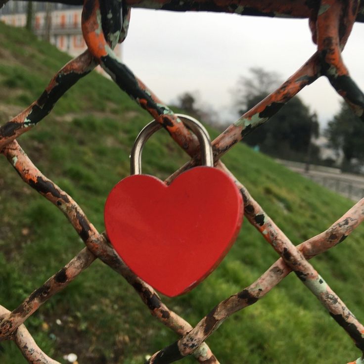 a red heart shaped padlock attached to a chain link fence with grass in the background