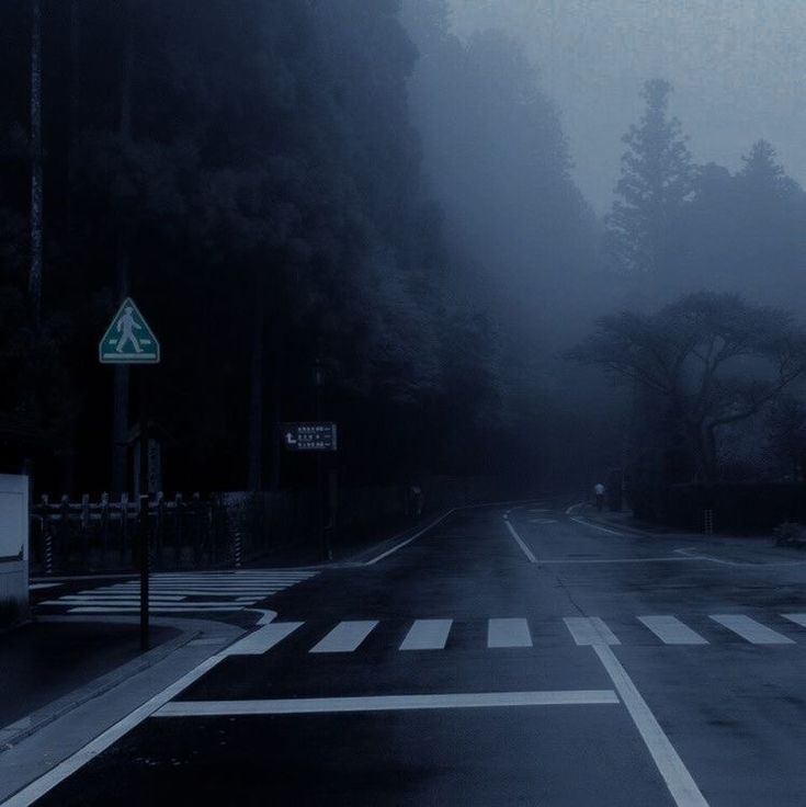 an empty street in the middle of a foggy night with trees on both sides