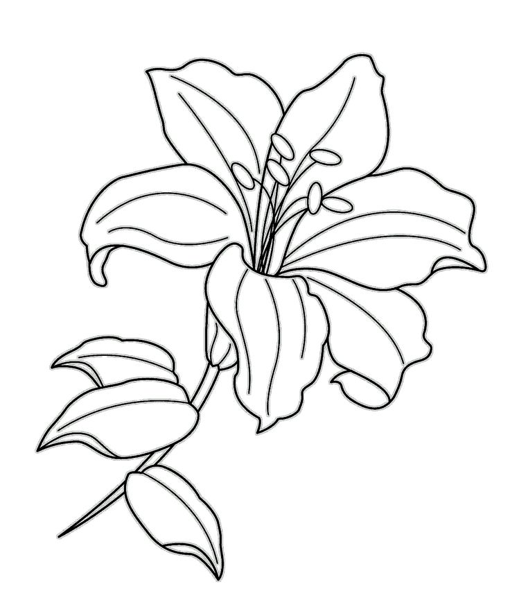 a black and white drawing of a flower on a branch with long, thin leaves