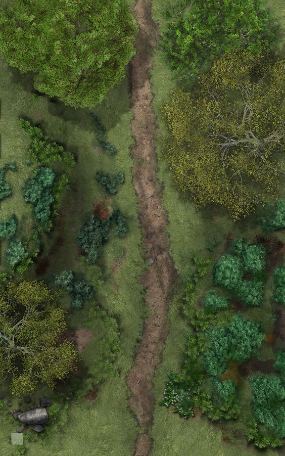 an aerial view of a dirt road in the middle of a green field with trees