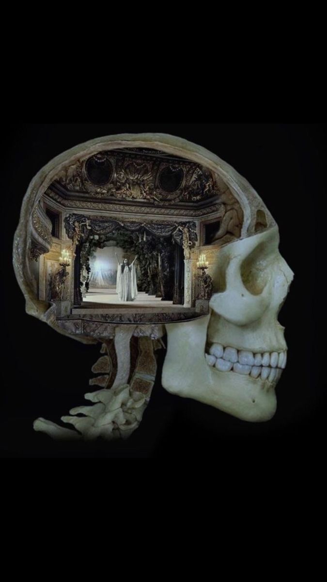 a human skull is shown in front of a mirror with an image of a woman on it