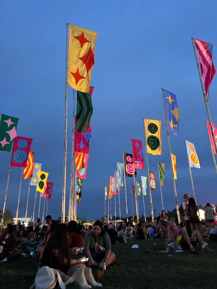 many people are sitting on the grass near flags