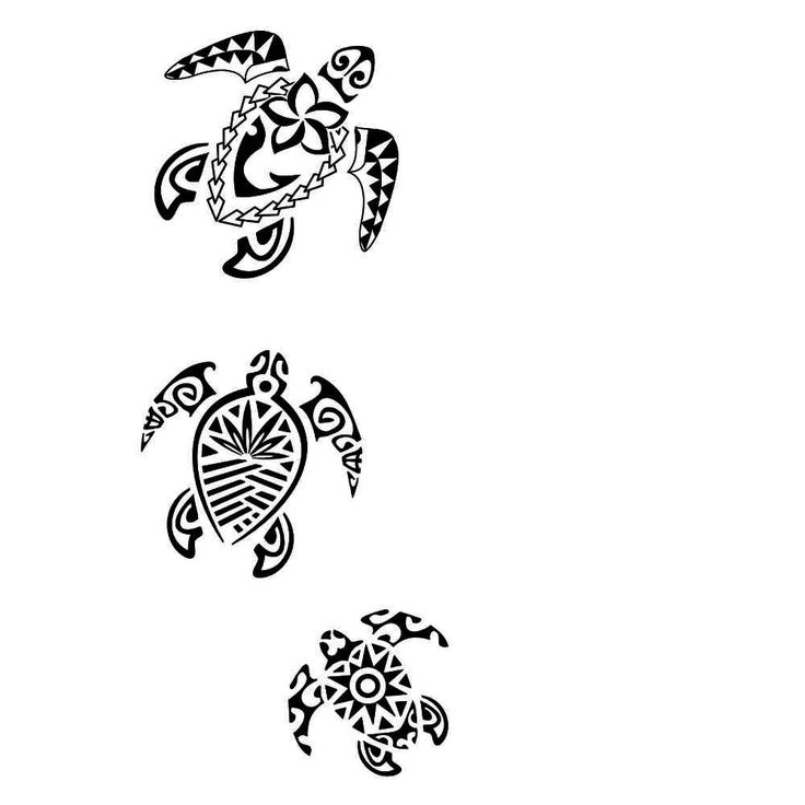 three turtle tattoos on white background