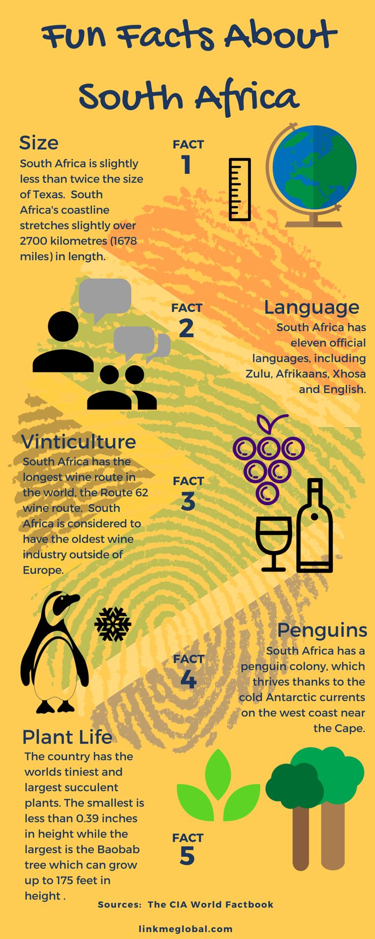 an info sheet with different types of things to see in the world, including trees and people