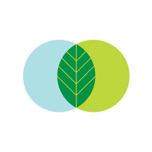 two green leaves on top of each other in front of a blue circle with the words,