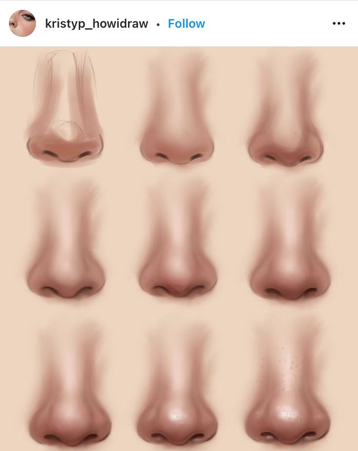 the nose is shown with different angles and shapes to show how it's made