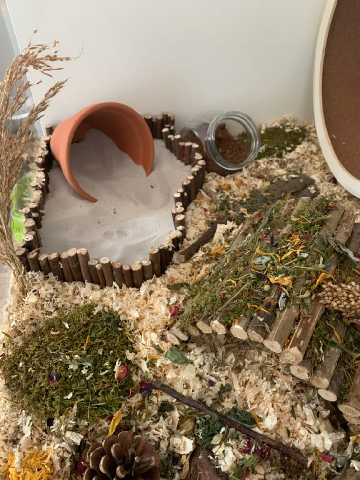 an arrangement of plants, rocks and other things on the ground next to a potted plant