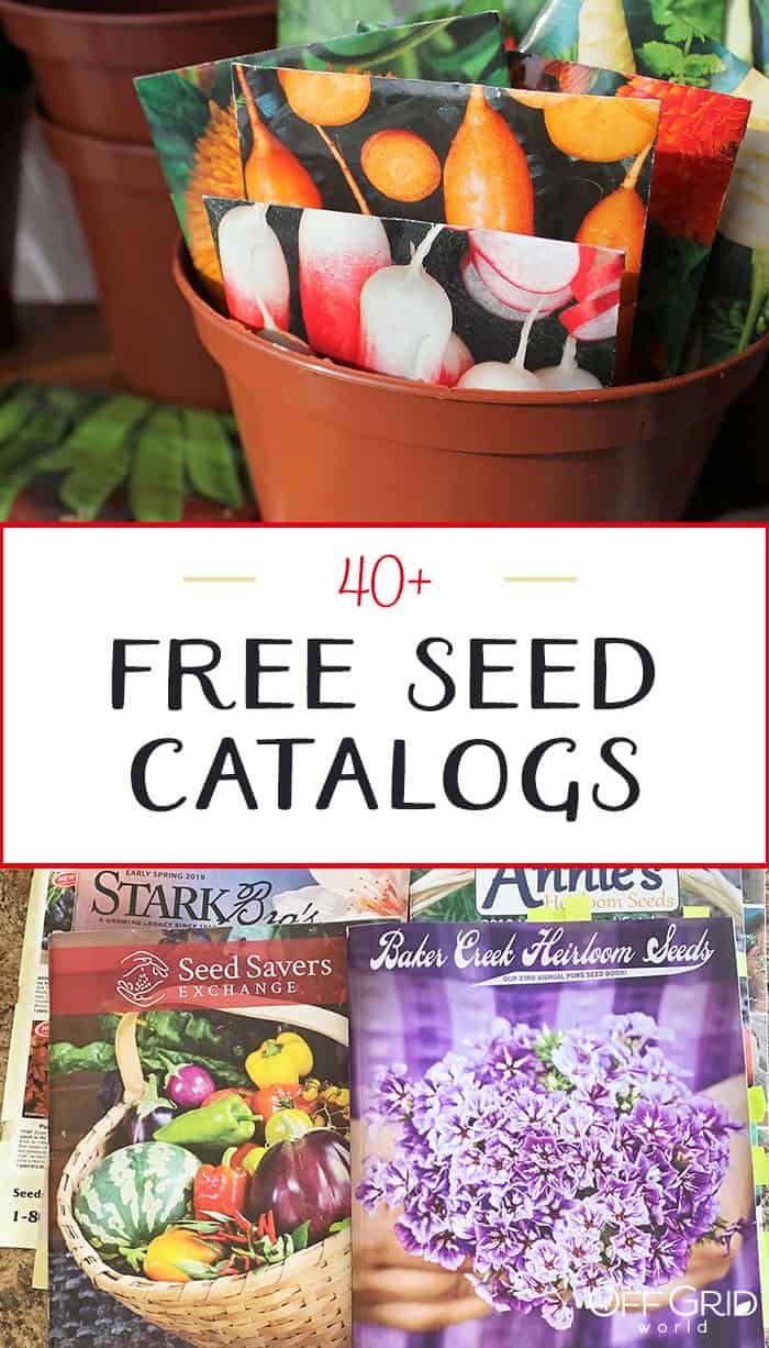 some seed catalogs are sitting in a flower pot with the words, free seed catalogs