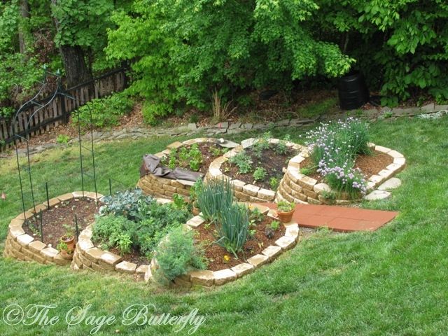 an outdoor garden with various plants in it