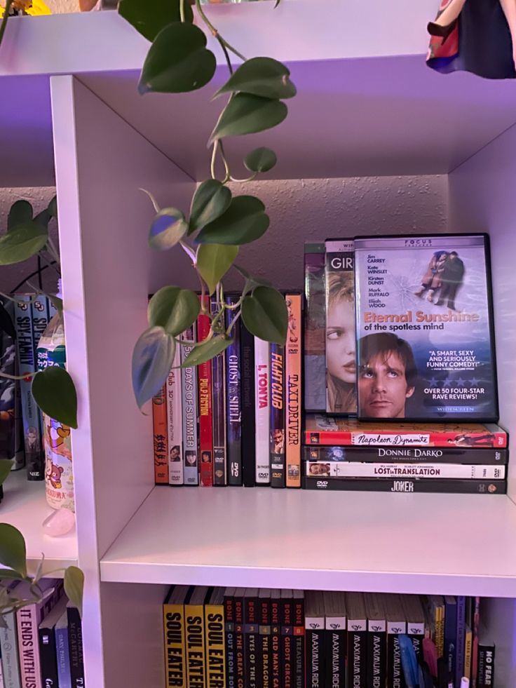 the bookshelf is filled with dvds, movies and other things to read on it