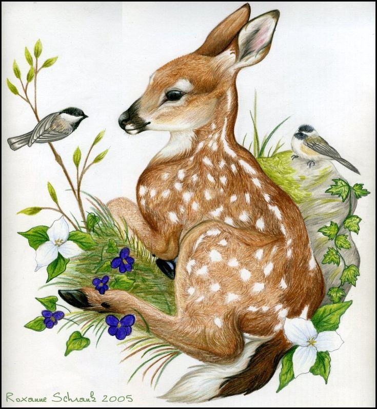 a drawing of a deer sitting in the grass with two birds on it's back