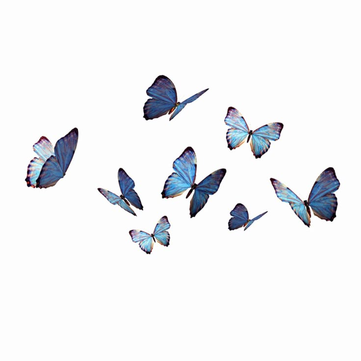 a group of blue butterflies flying through the air