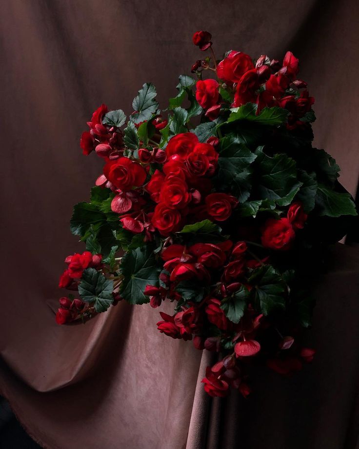 a bouquet of red roses sitting on top of a brown cloth covered table next to a curtain