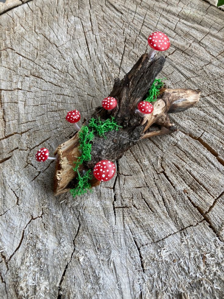 mushrooms are growing out of the bark of a tree stump with green moss on it