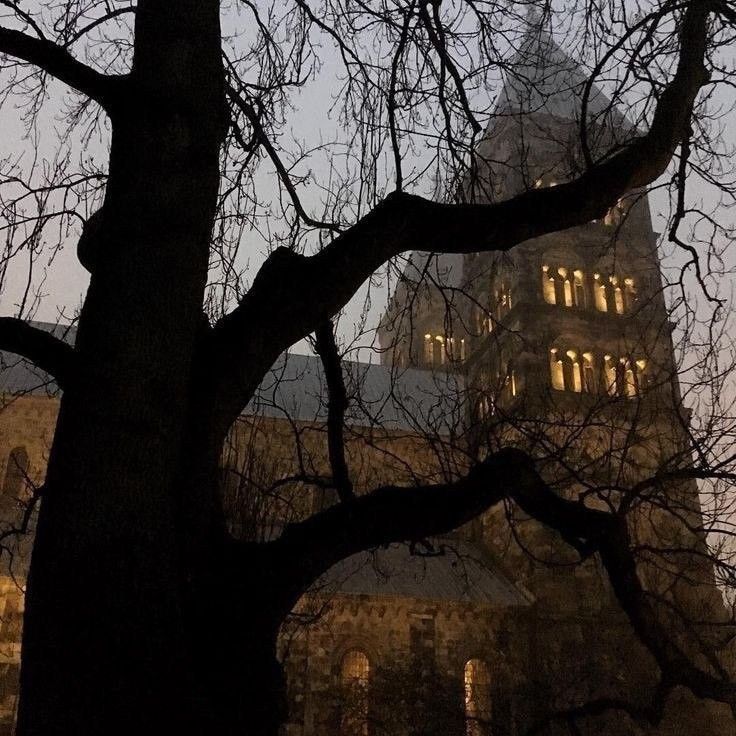 the building is lit up at night with its lights on and trees in front of it