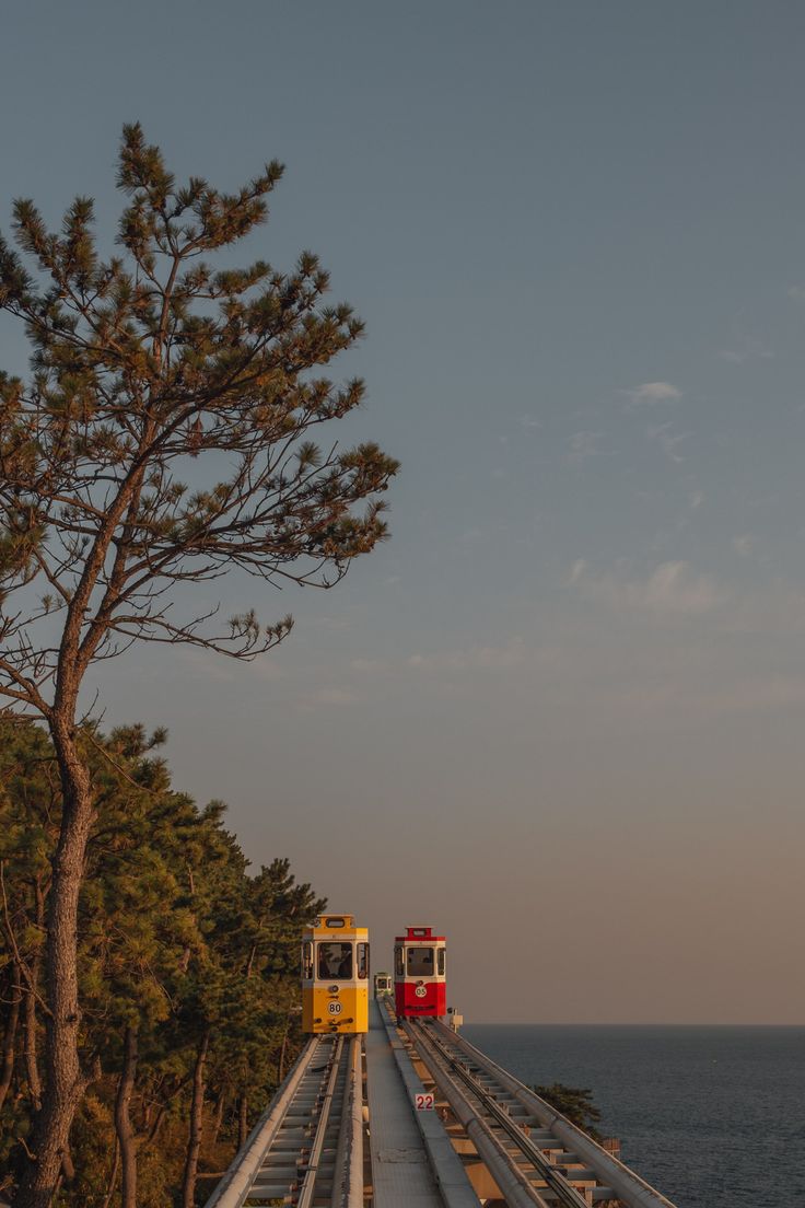 two trains are going over a bridge near the ocean and trees in the foreground