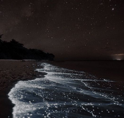 the stars are shining in the night sky over the water at the edge of the beach